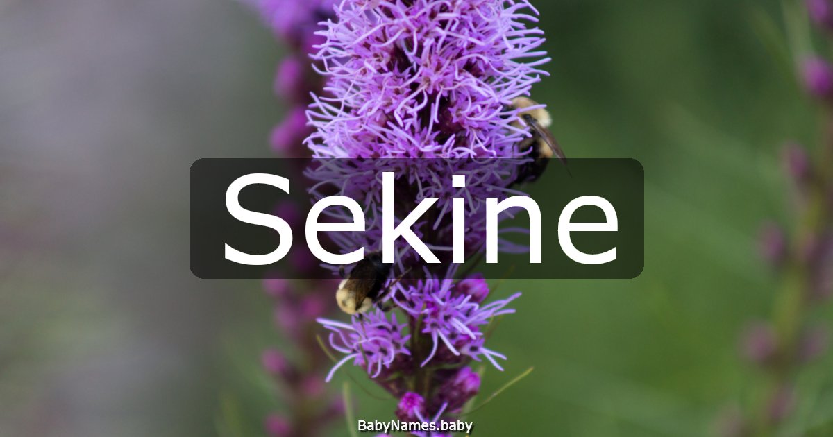 Sekine