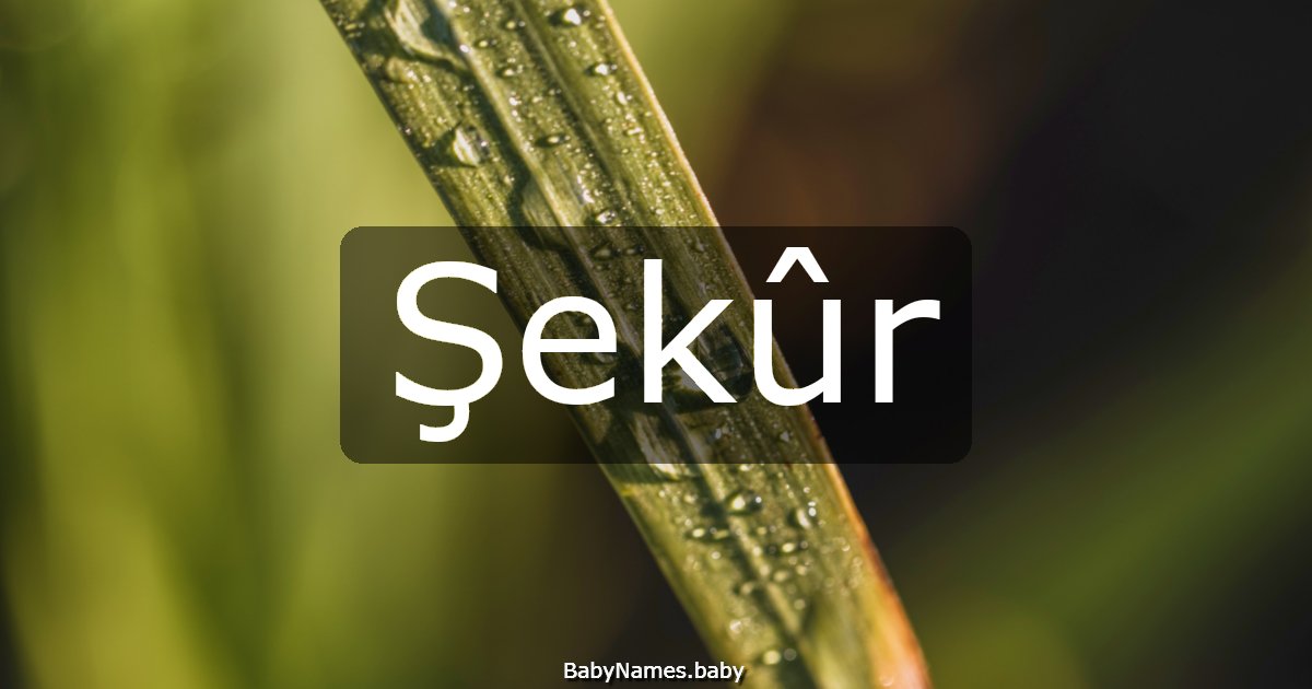Şekûr
