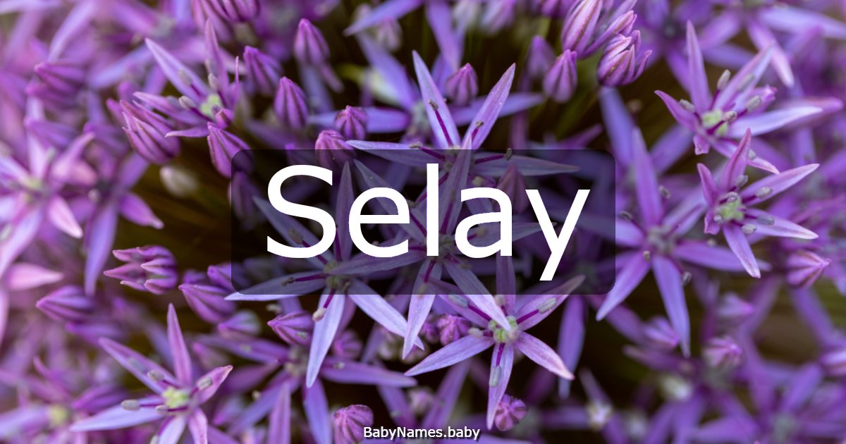 Selay