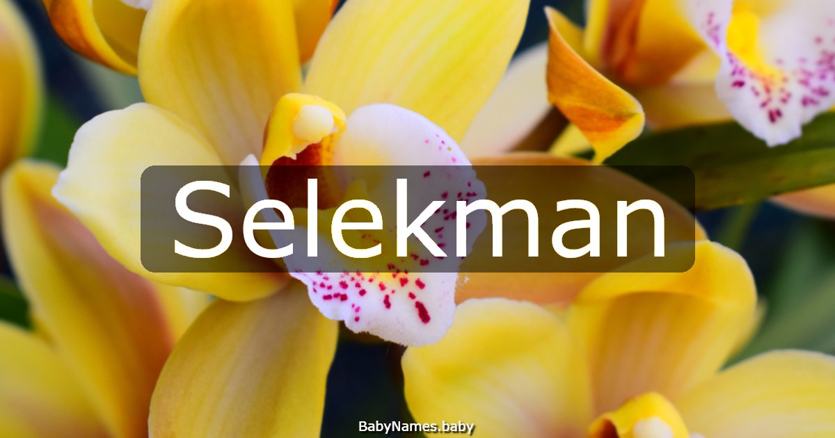 Selekman