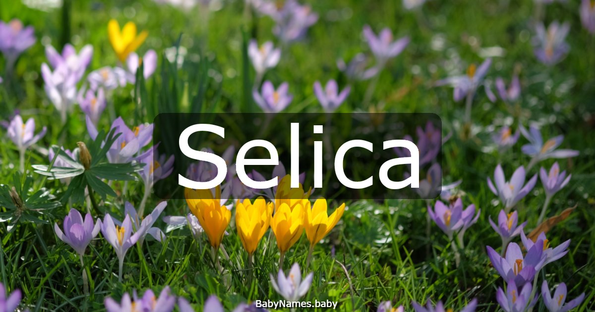 Selica
