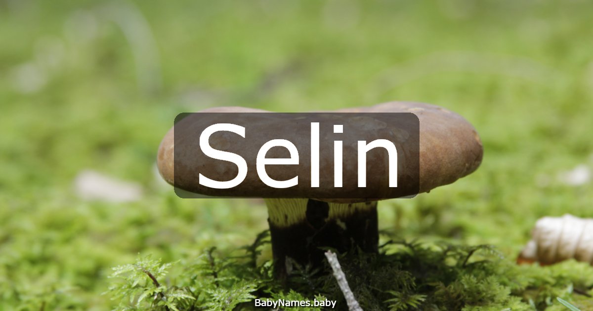 Selin