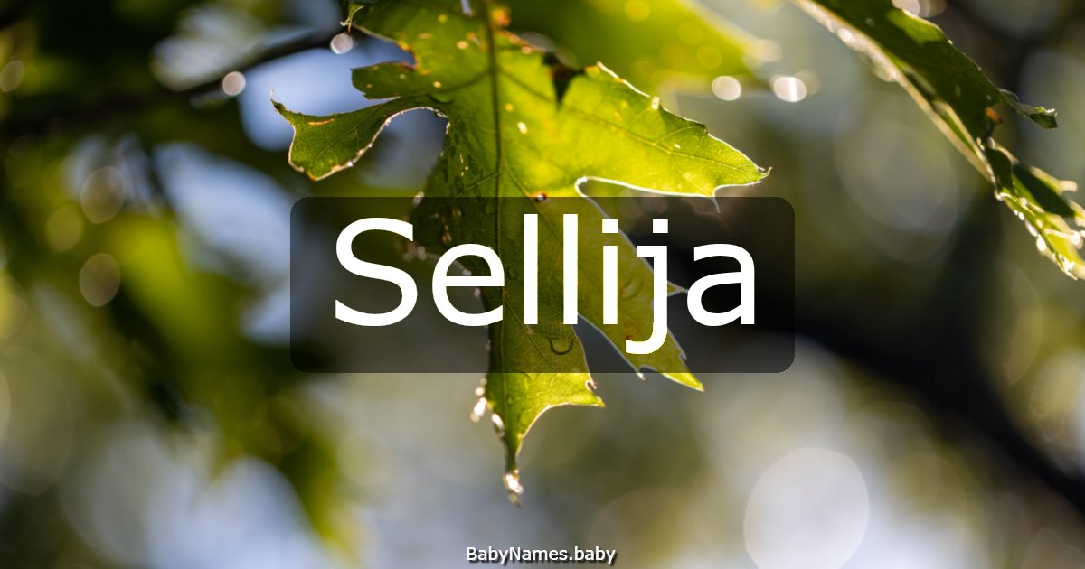 Sellija