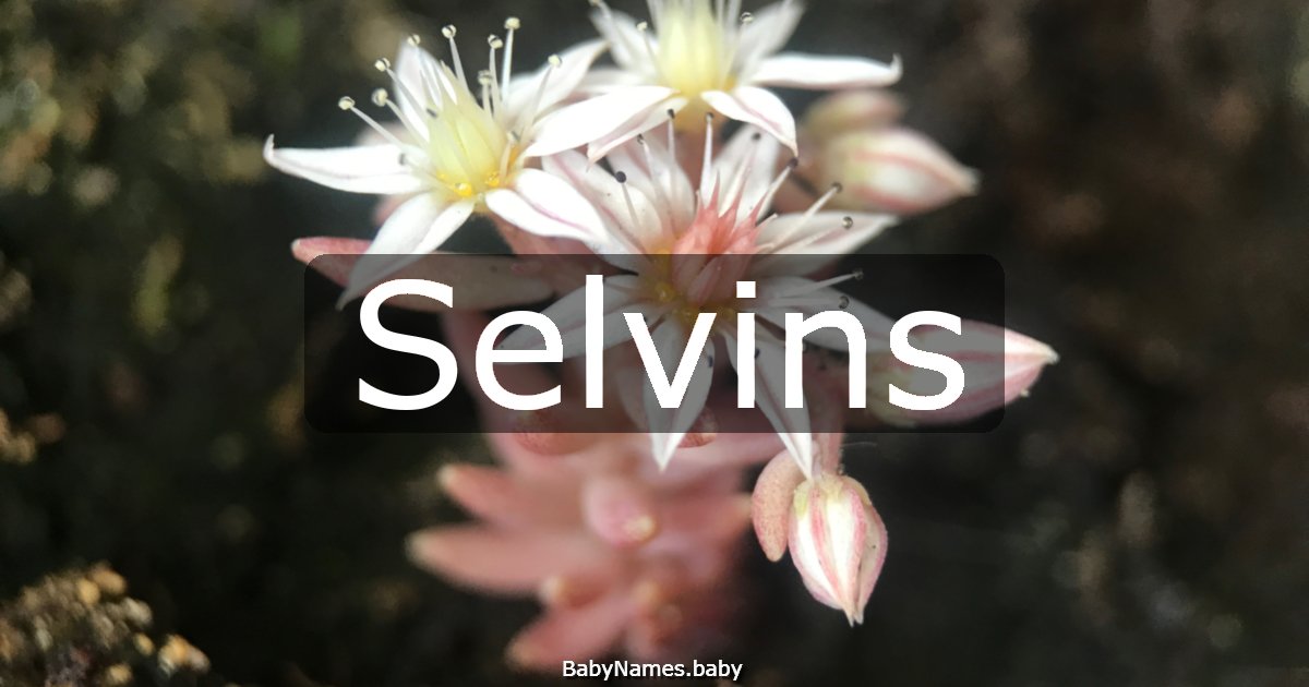 Selvins