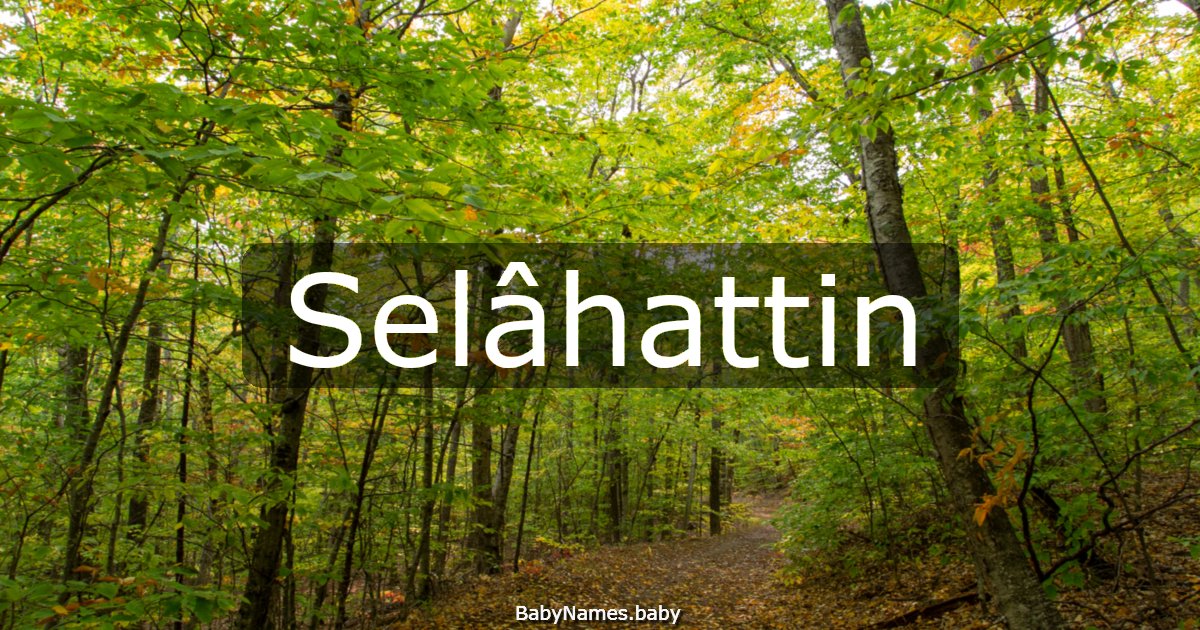 Selâhattin