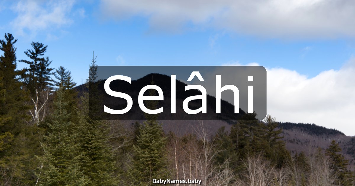 Selâhi