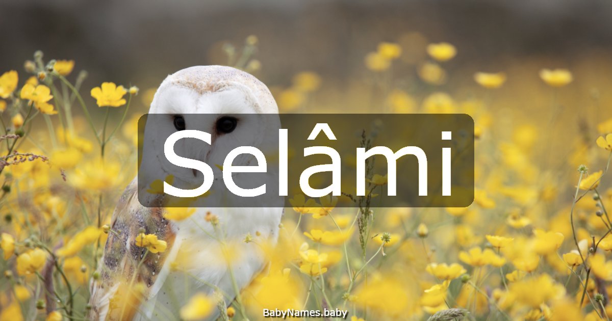 Selâmi