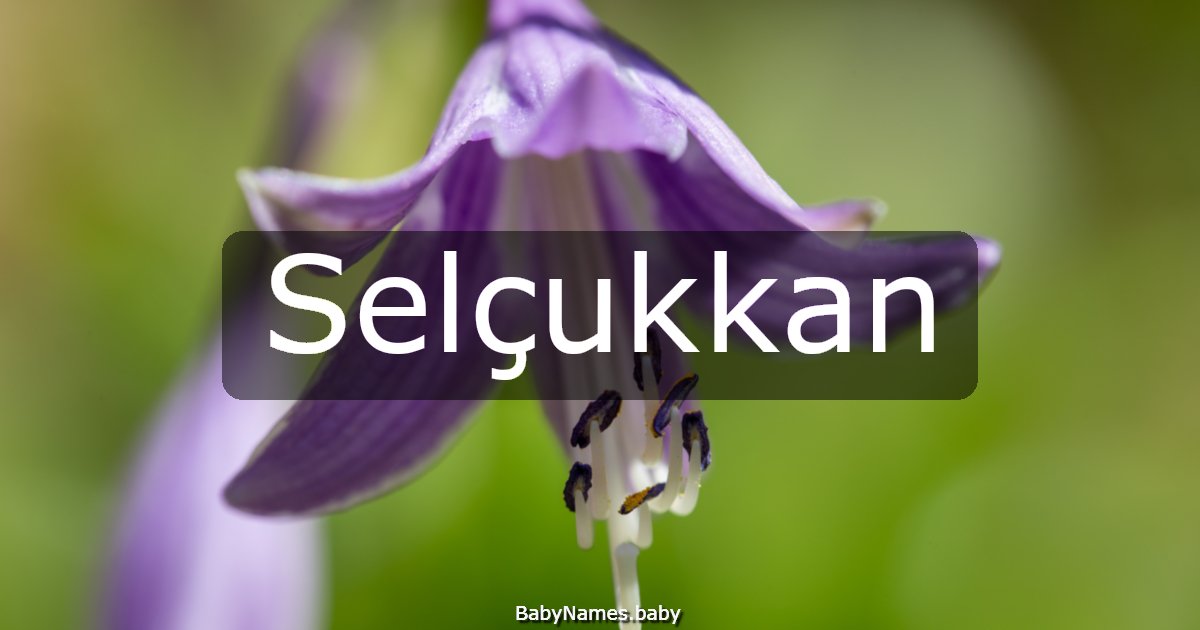 Selçukkan