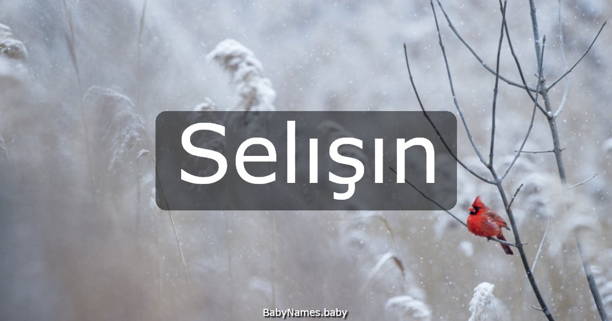 Selışın