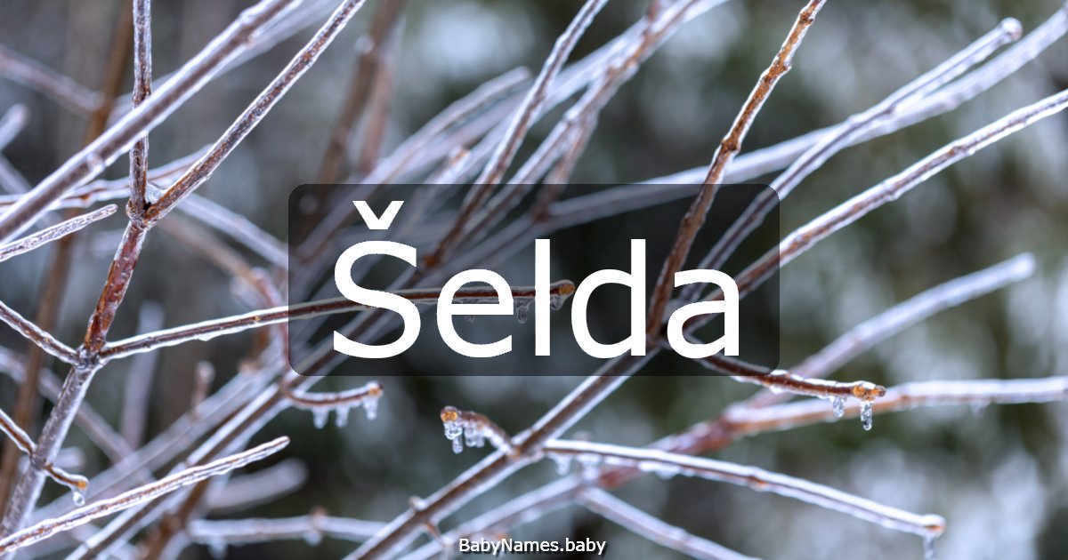 Šelda