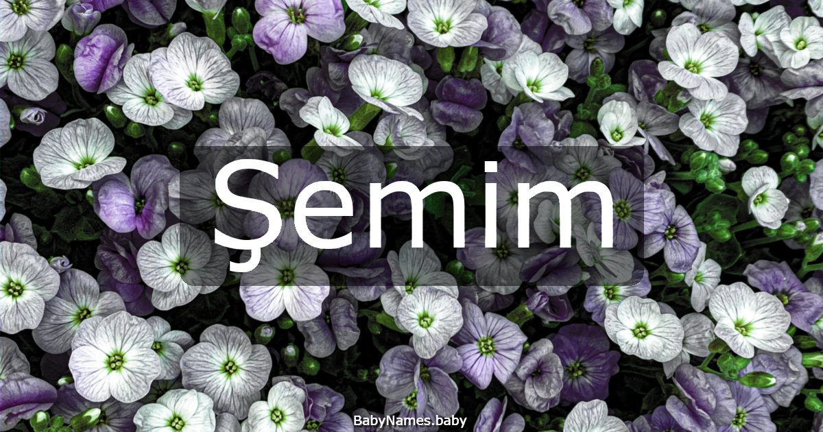 Şemim