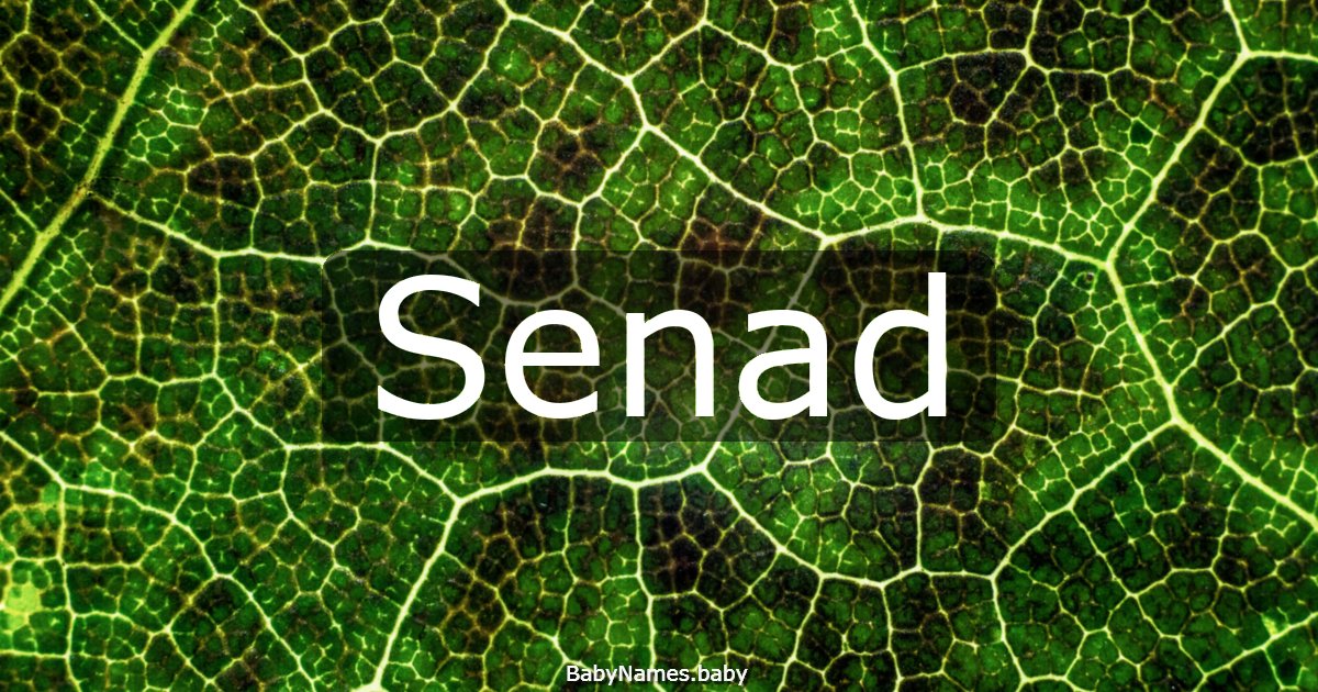 Senad