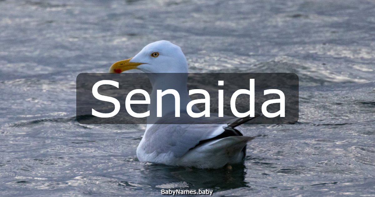Senaida