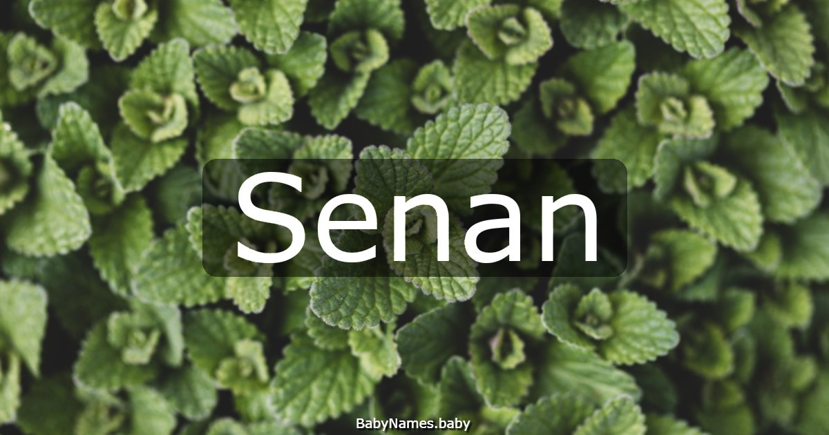 Senan