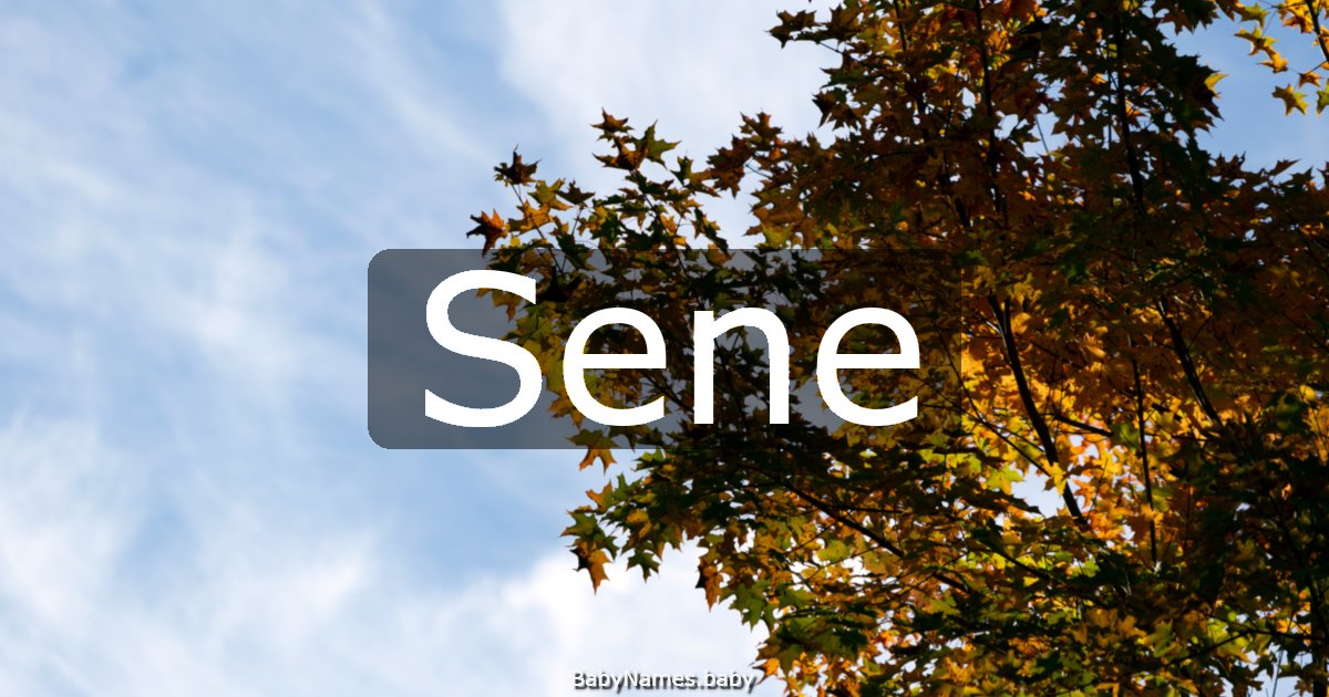 Sene