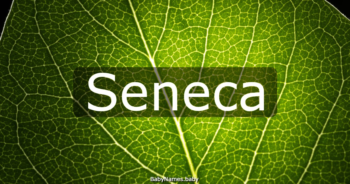 Seneca