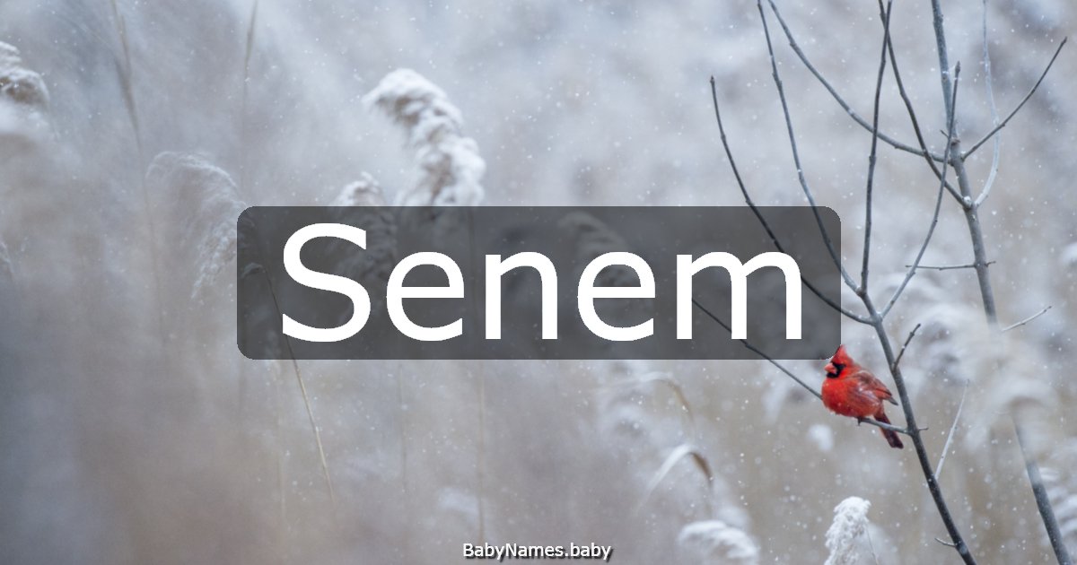 Senem