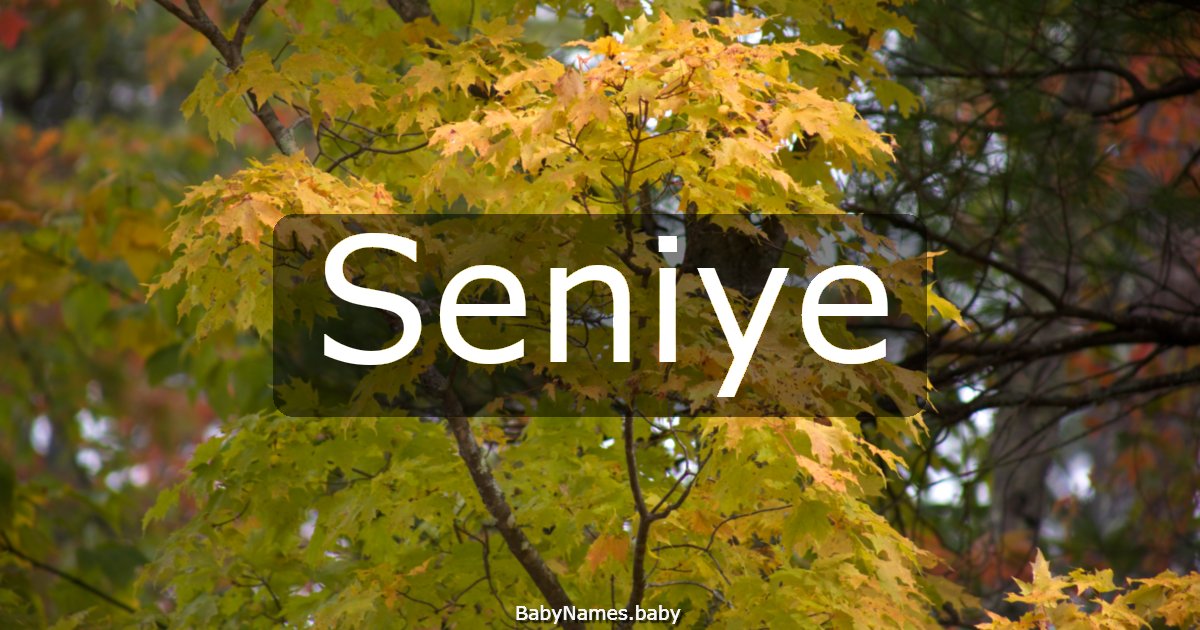 Seniye