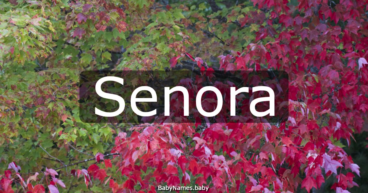 Senora