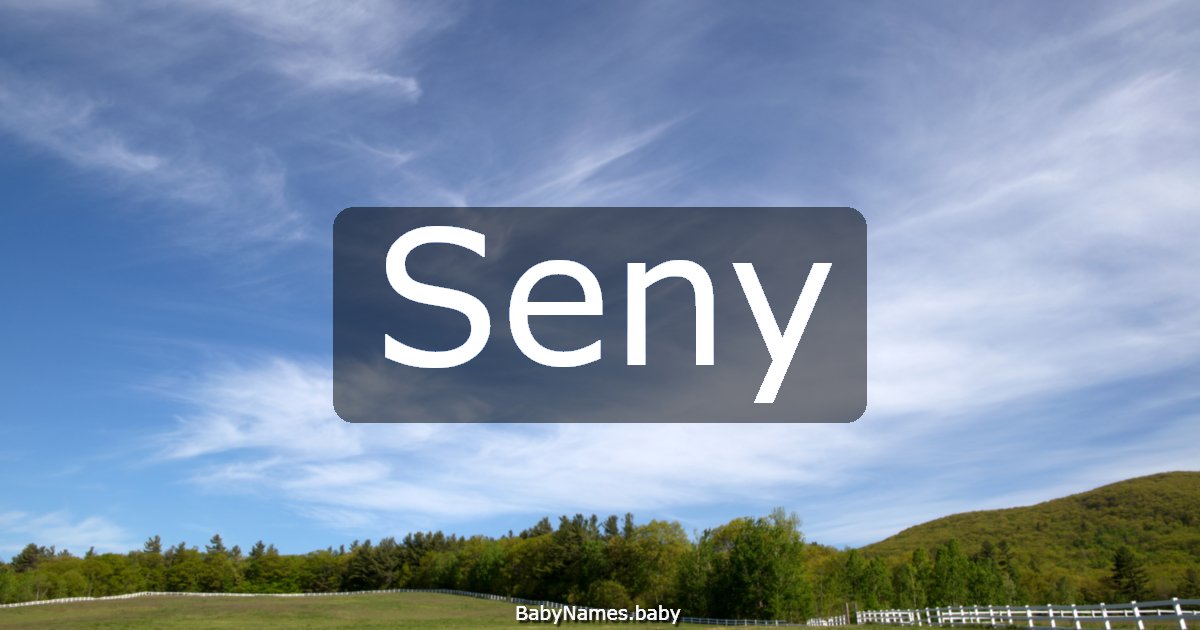 Seny