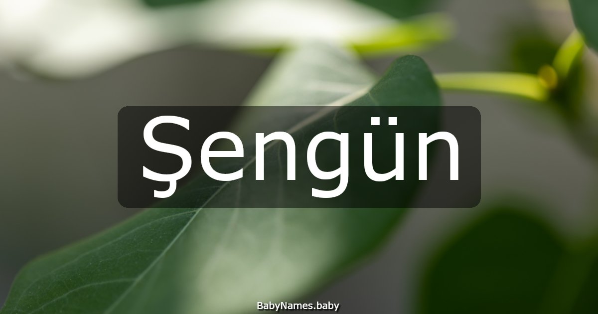 Şengün