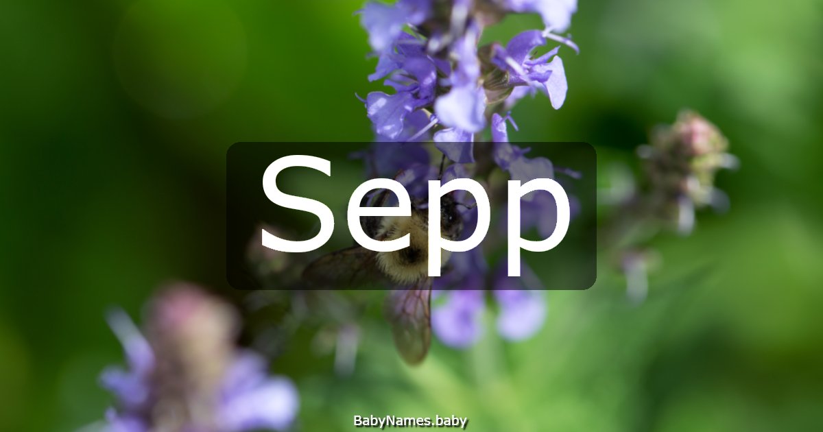 Sepp