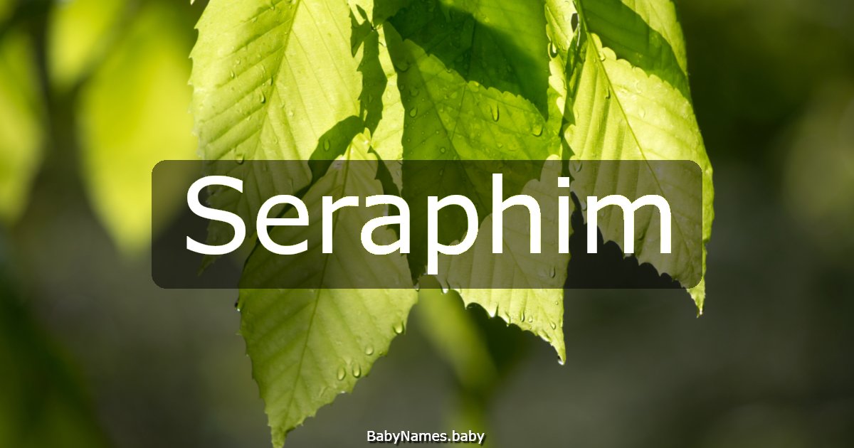 Seraphim