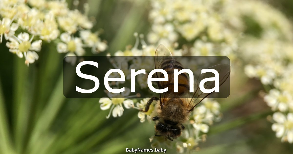 Serena