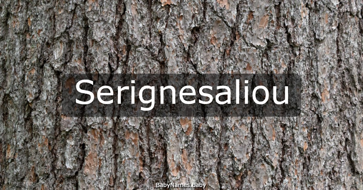Serignesaliou