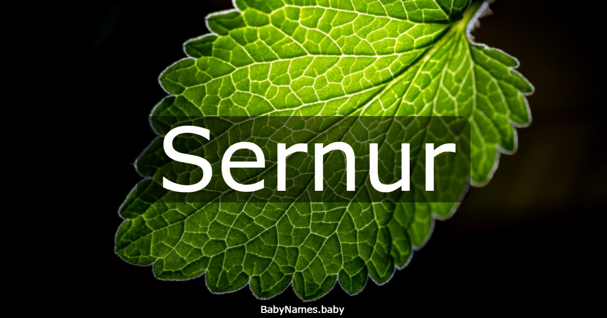 Sernur