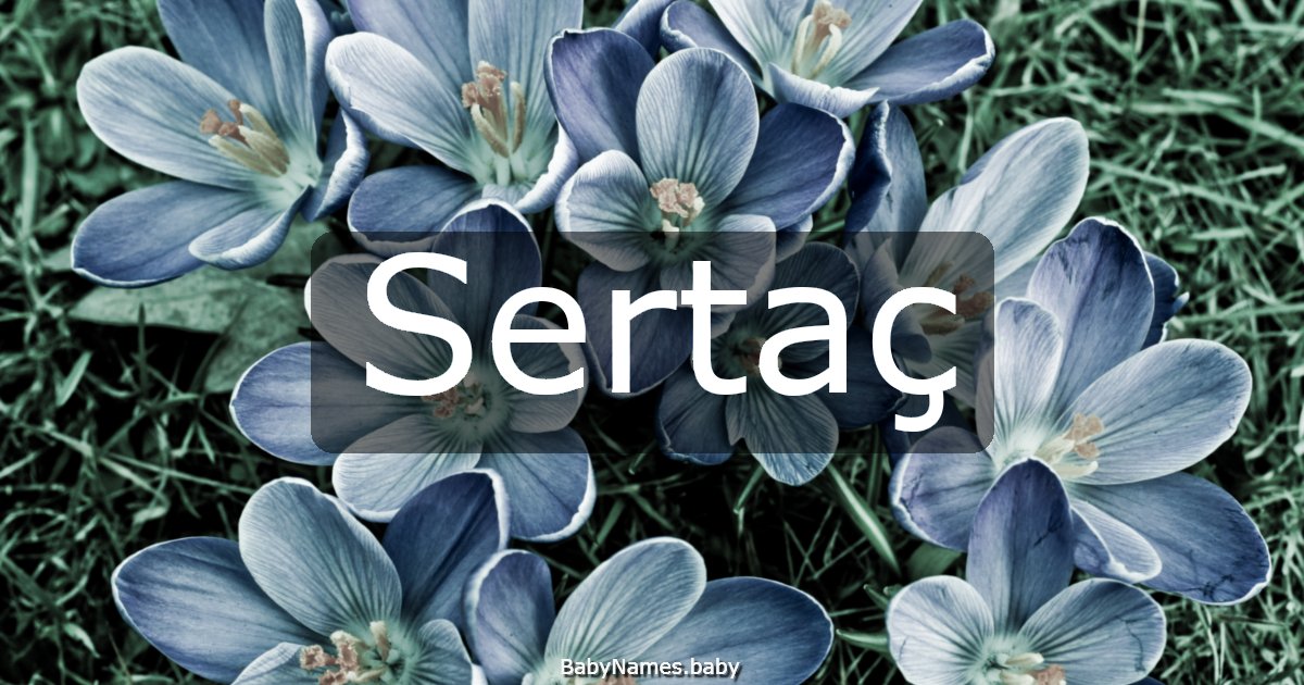 Sertaç