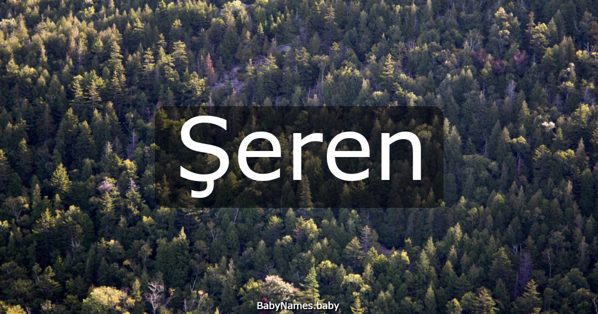 Şeren