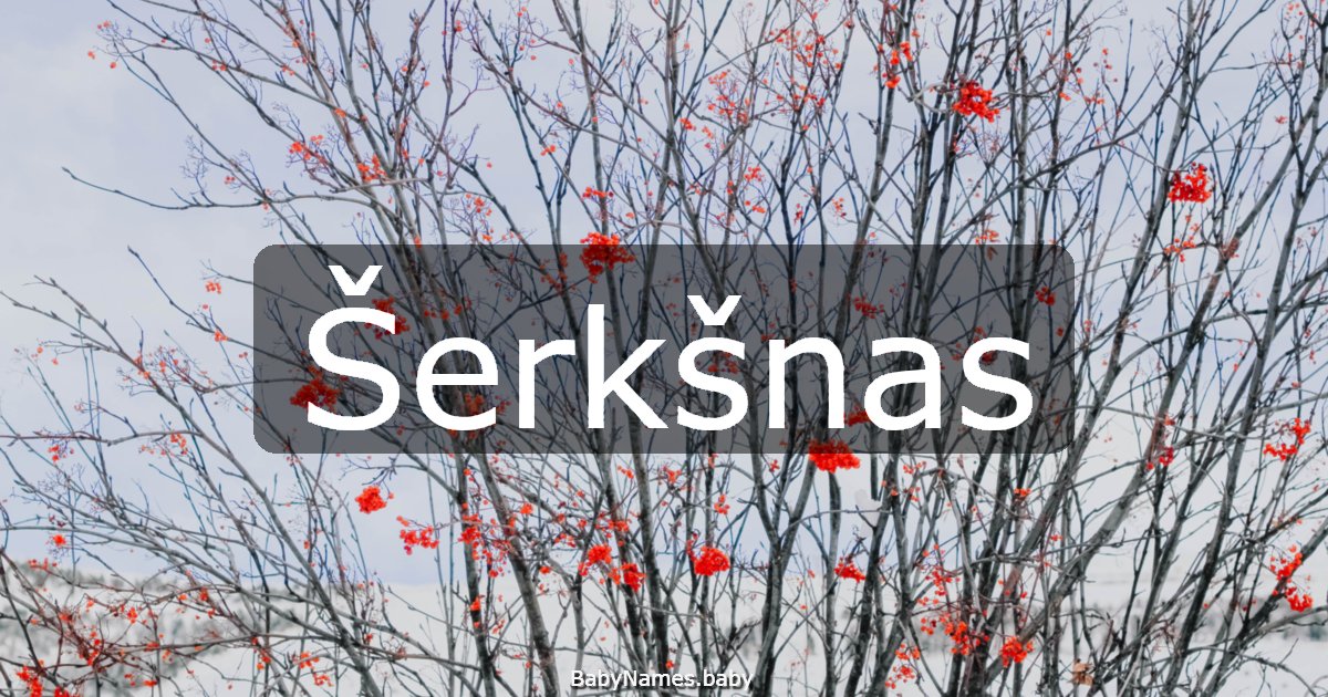Šerkšnas