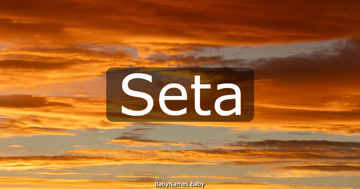 Seta