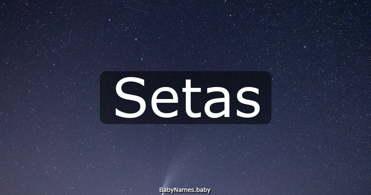 Setas