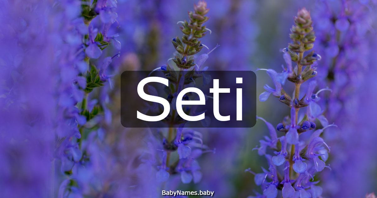 Seti