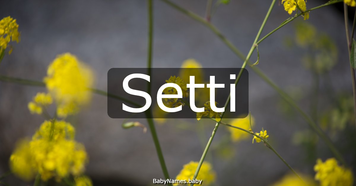 Setti