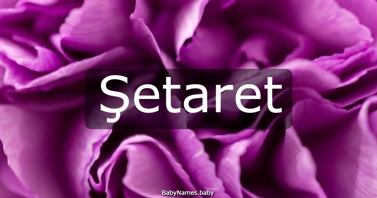 Şetaret