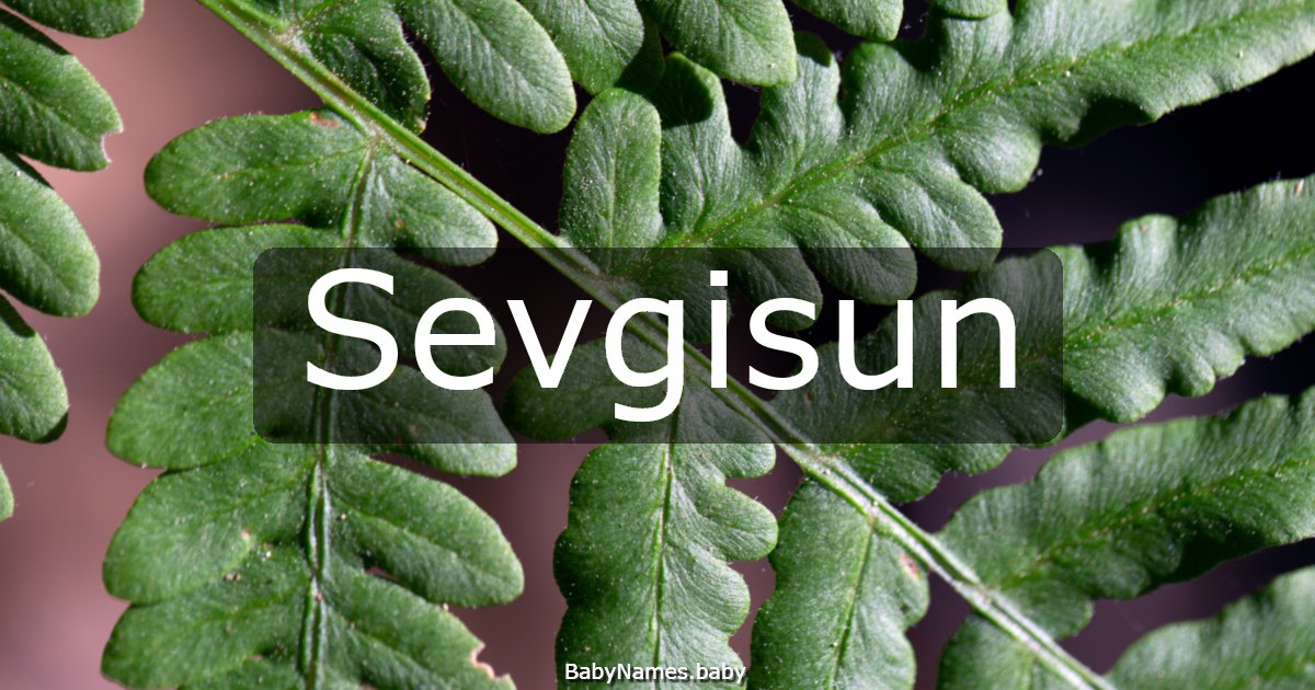Sevgisun