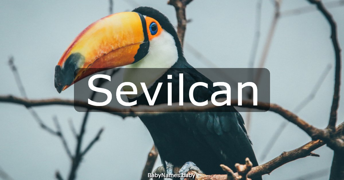 Sevilcan