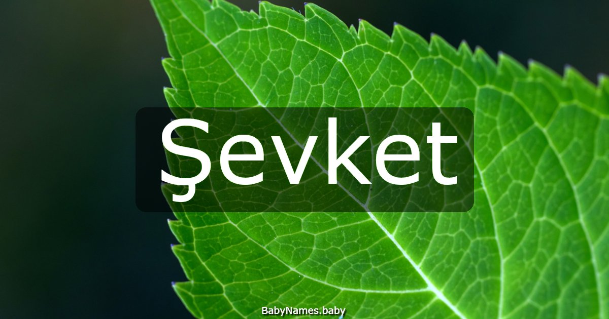Şevket