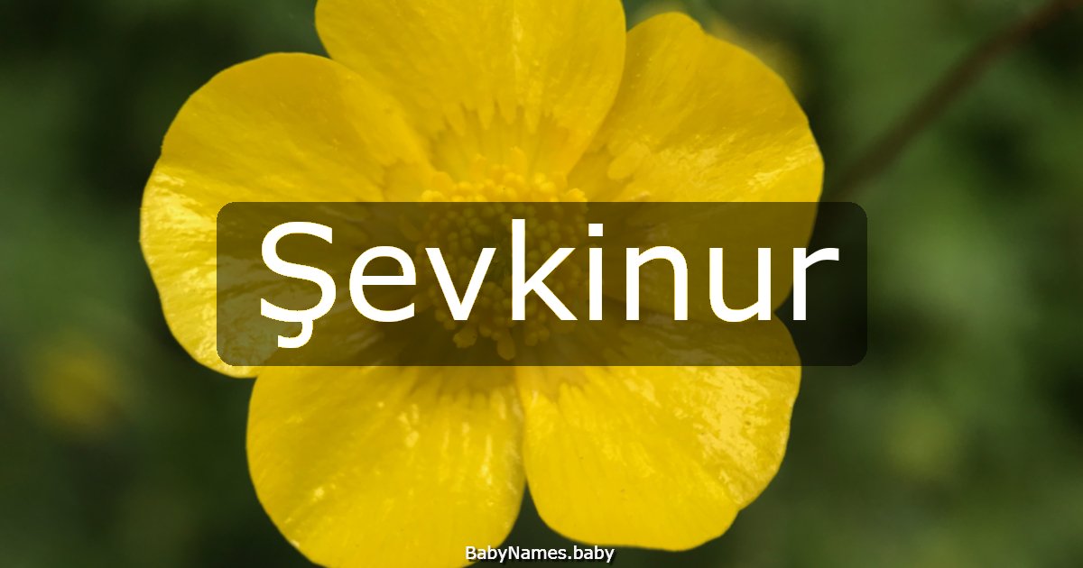 Şevkinur