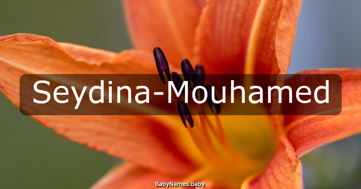 Seydina-Mouhamed