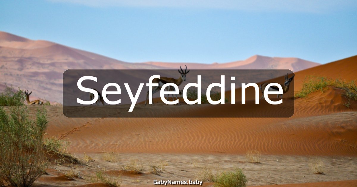 Seyfeddine