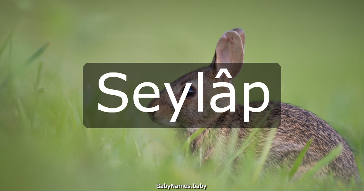 Seylâp