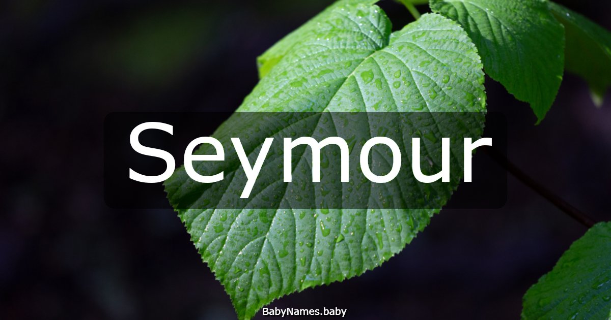 Seymour