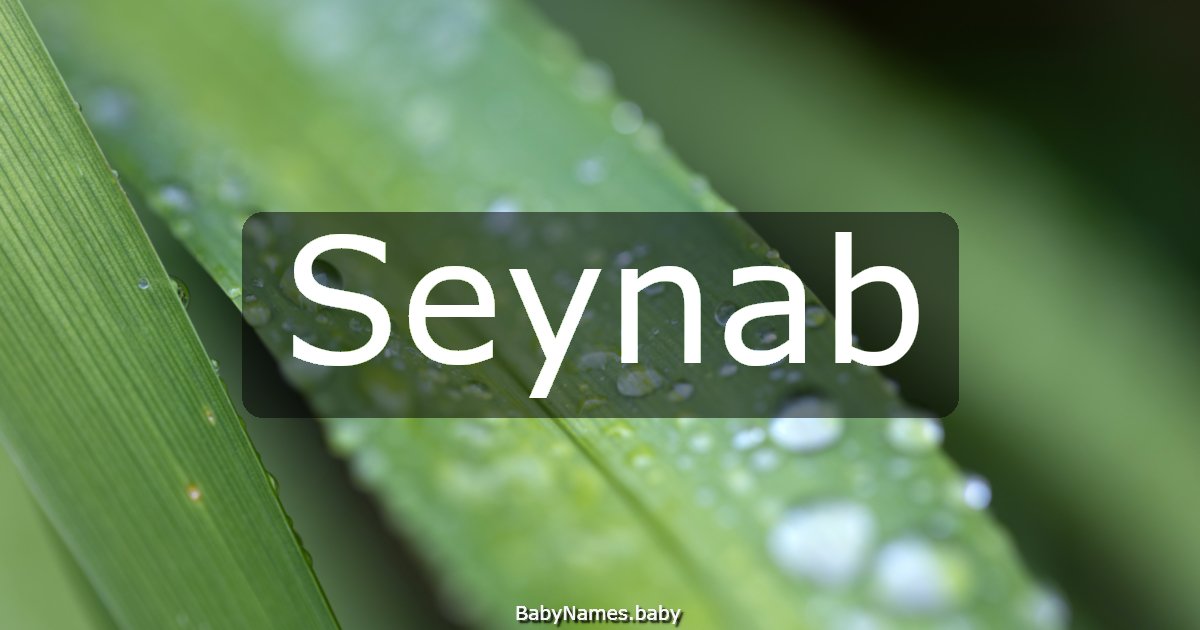 Seynab