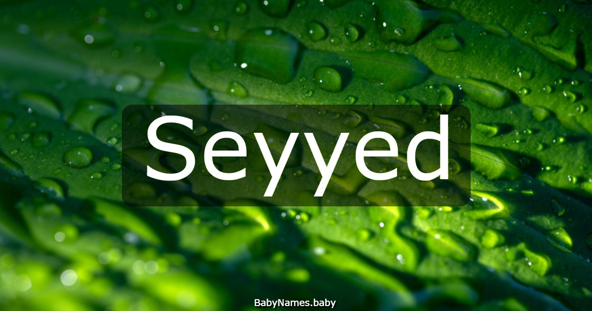 Seyyed