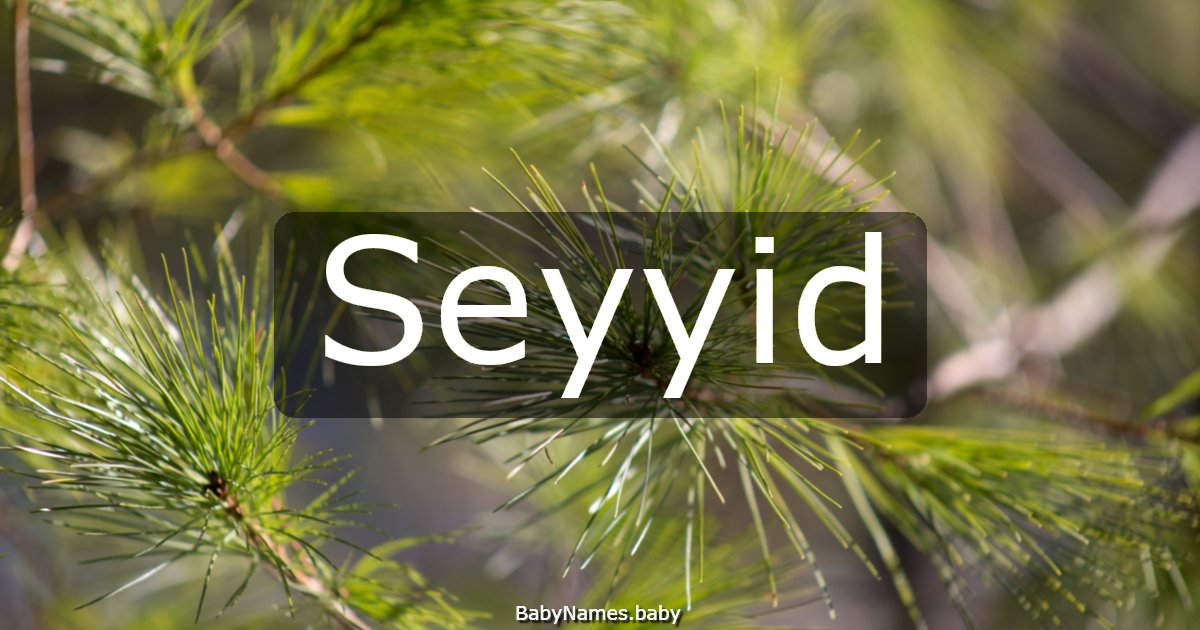 Seyyid