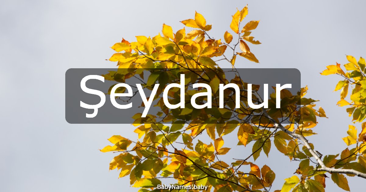 Şeydanur